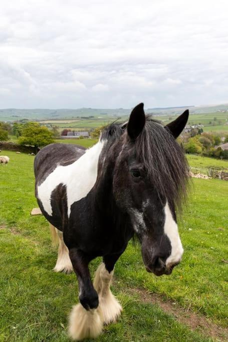 The Croft - Aa Accredited, Country Holiday home *