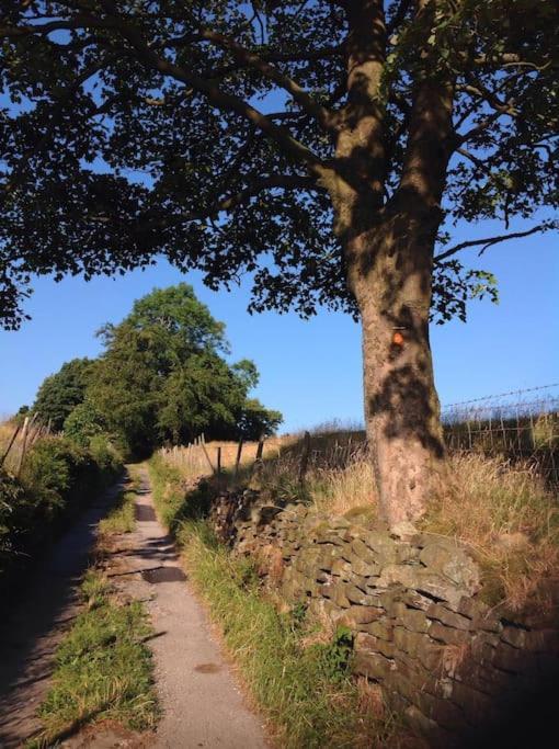 The Croft - Aa Accredited, Country